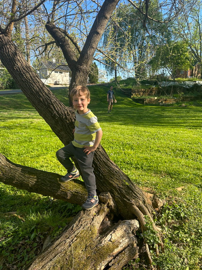 Sunny baseball yard time Sunny baseball / yard time