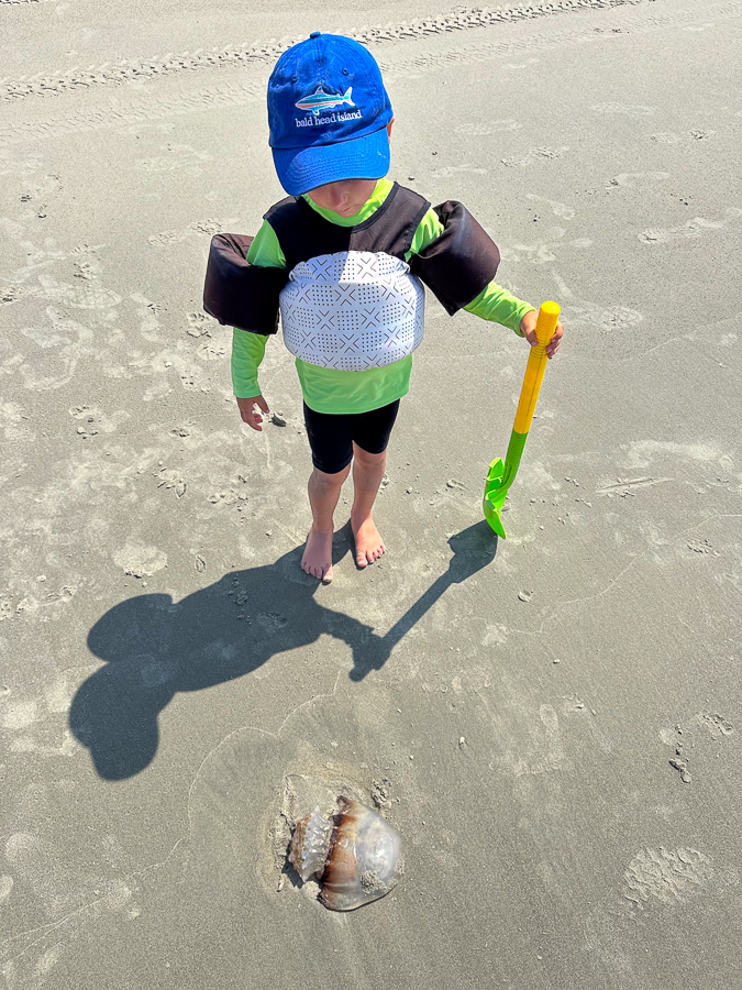 Birch Bald Head Island 2023 Birch Bald Head Island 2023
