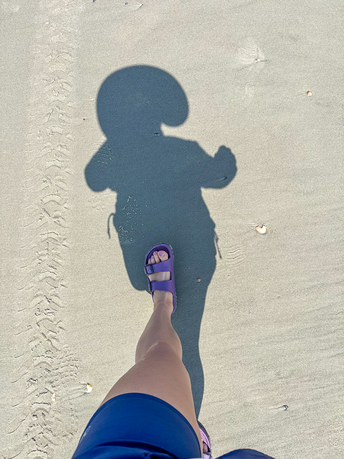 Bald Head Island Beach Walks Beach Walks Bald Head Island 2023