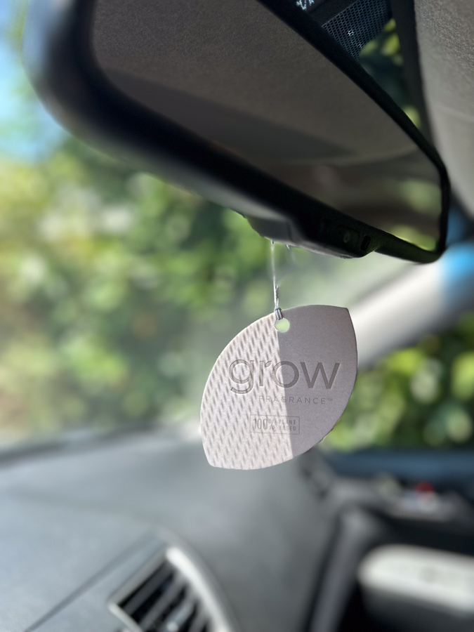 Air Fresheners Air Fresheners