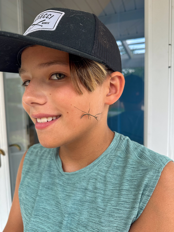 praying mantis on face