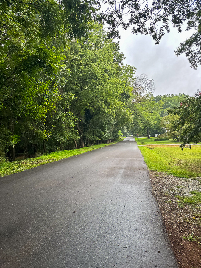 morning walk trail | Summer Finale In Hillsborough