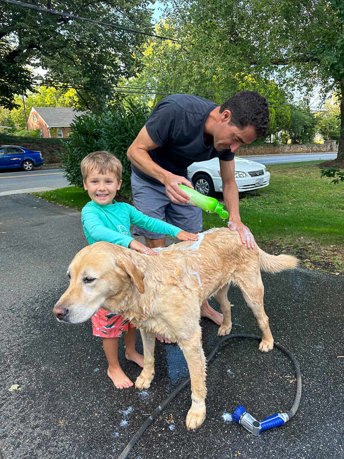 dog bath dog bath | Longer Sleeves Needed