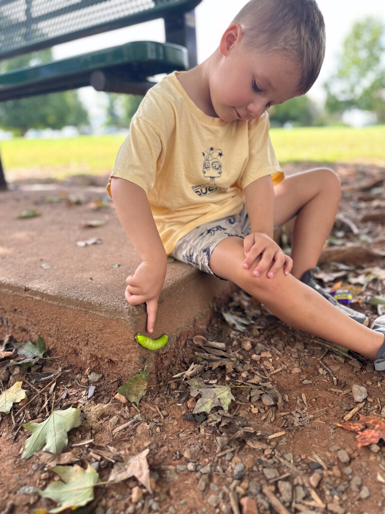 Herman The Worm caterpillar