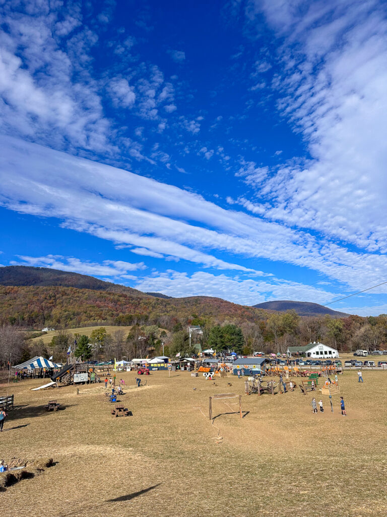 Blue Ridge Mountain activities Blue Ridge Mountain activities | A Very Cousin Weekend