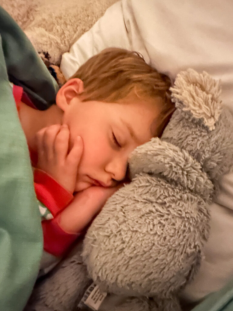 Birch sleeping