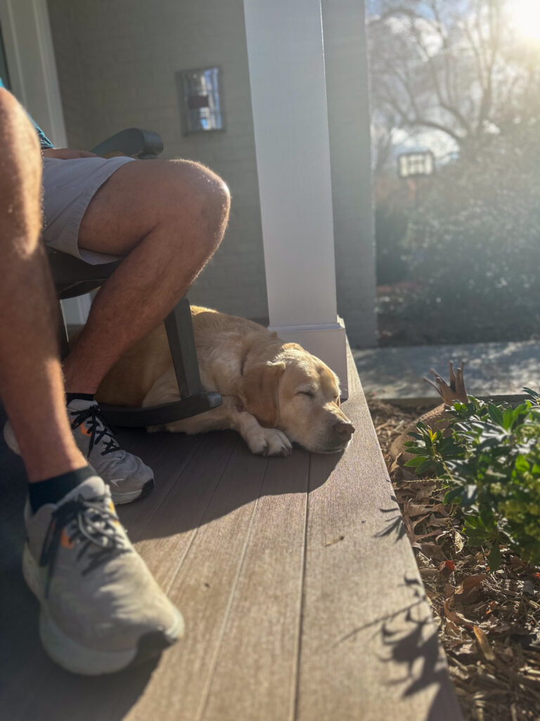 Guss enjoying sunshine Guss enjoying sunshine