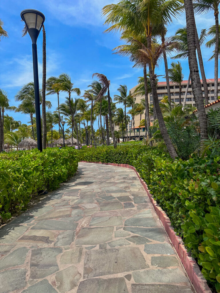 Hyatt Regency Aruba review