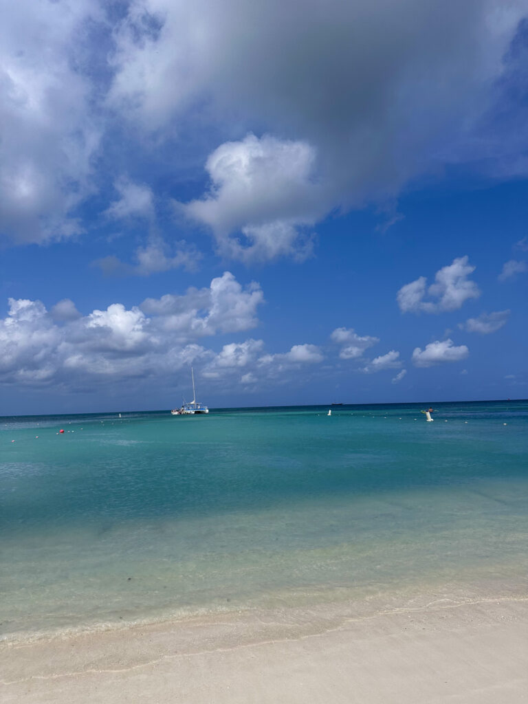 Hyatt Regency Beach