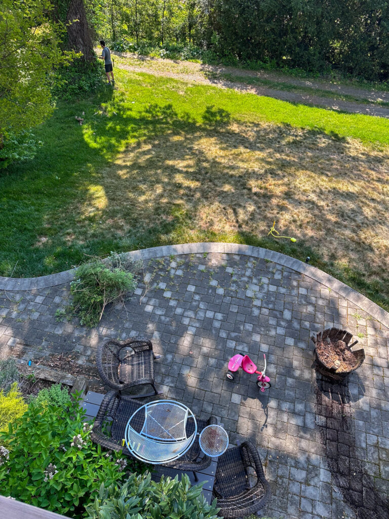 Where the Green Grass Doesn't Grow