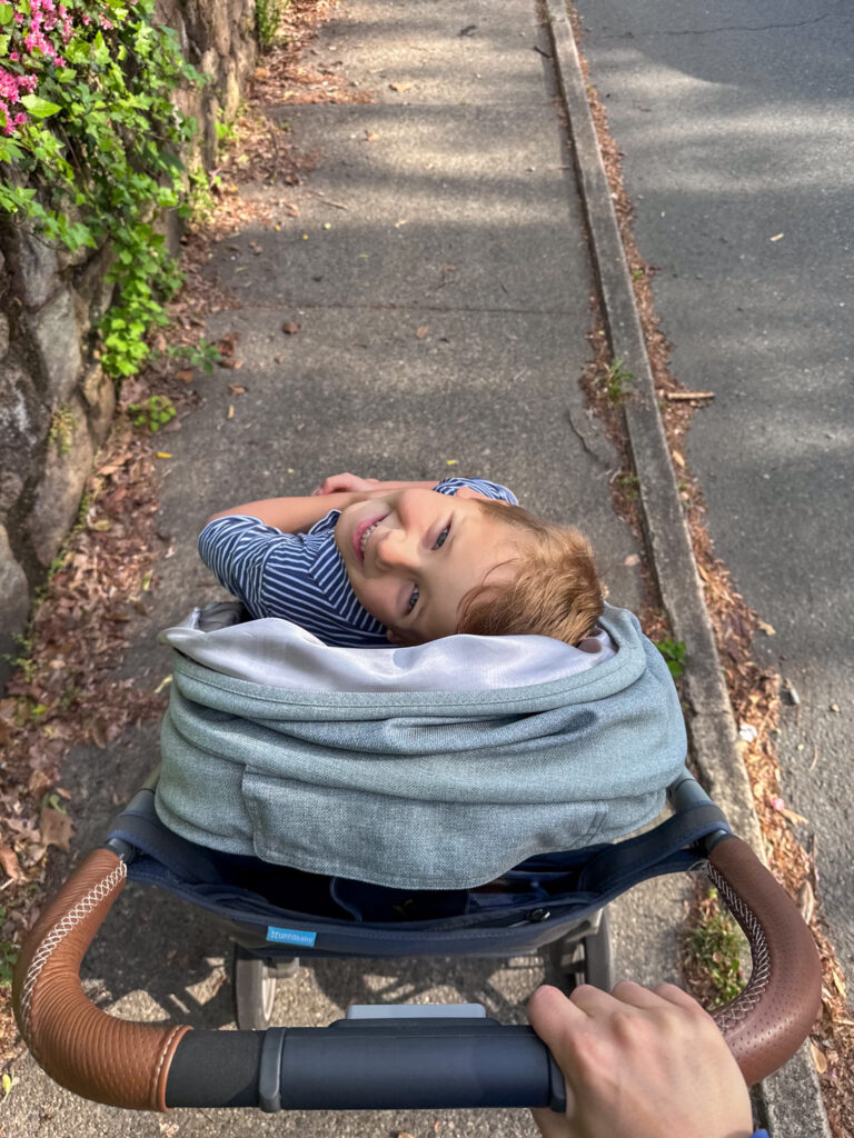 Birch stroller