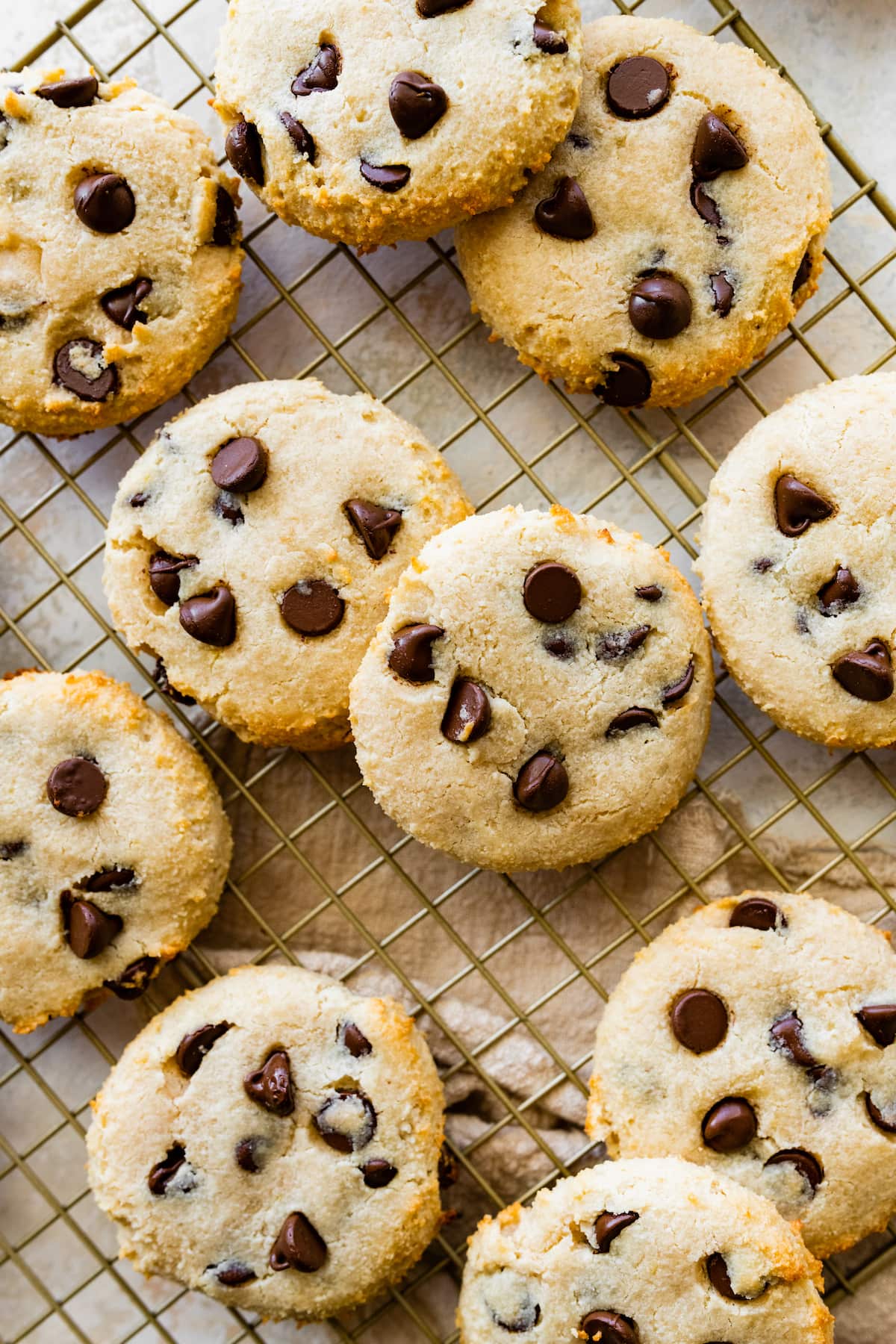Eating Bird Food Cookies Eating Bird Food Cookies