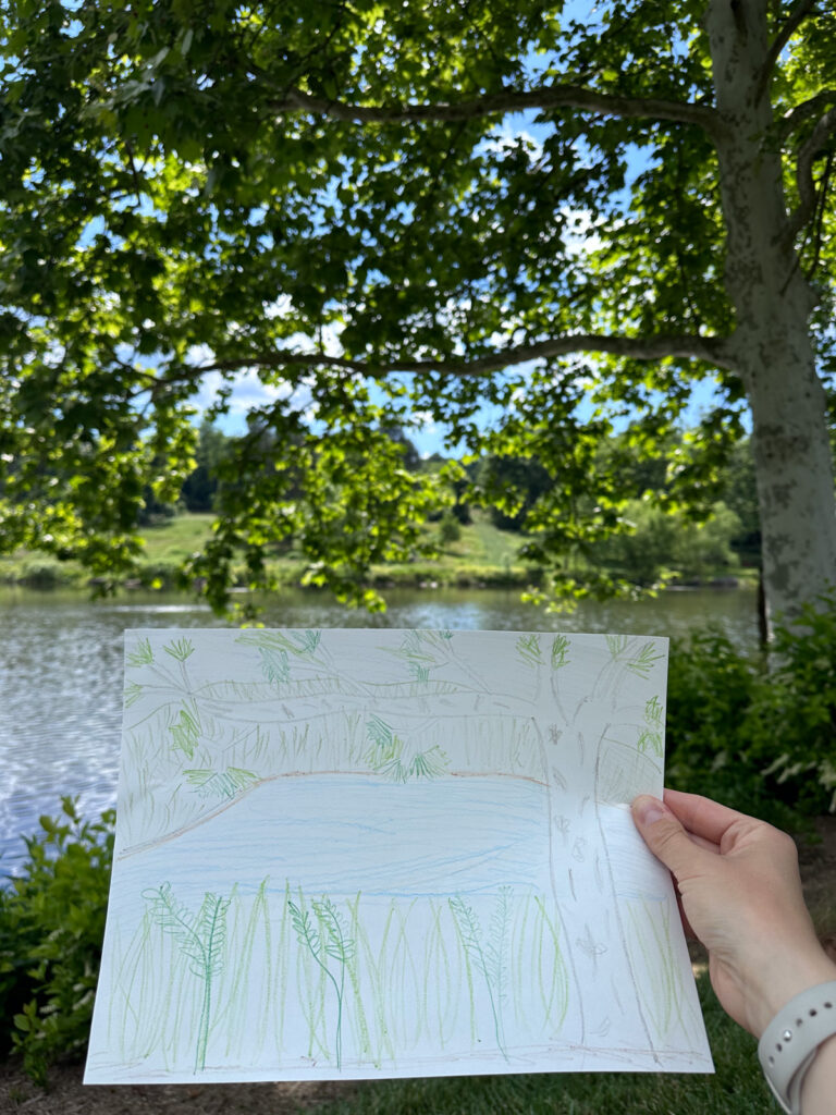 nature drawing nature drawing
