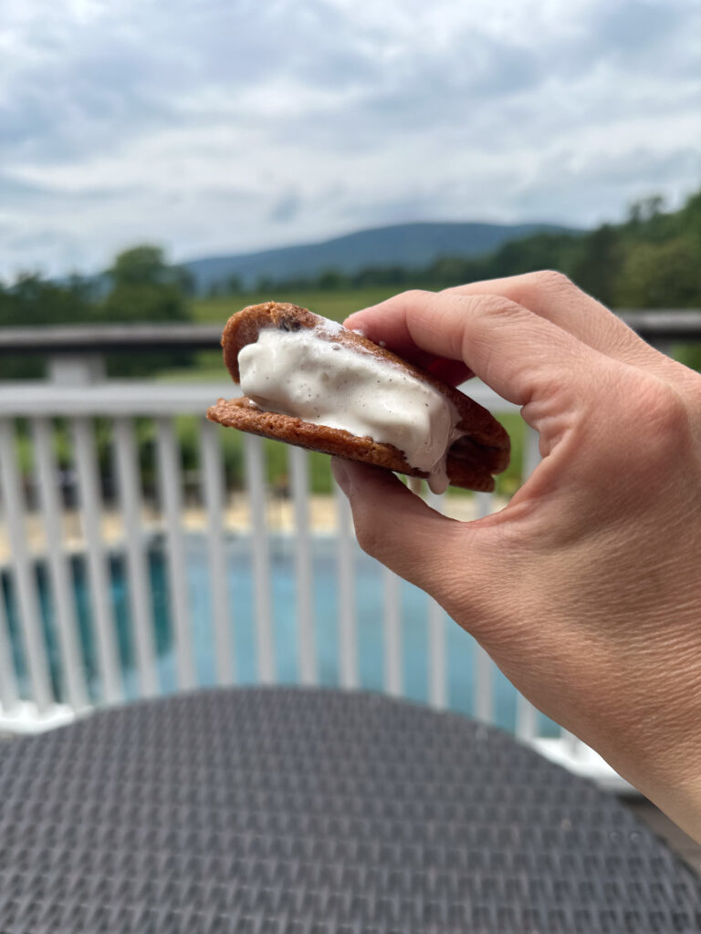 ice cream sandwich ice cream sandwich