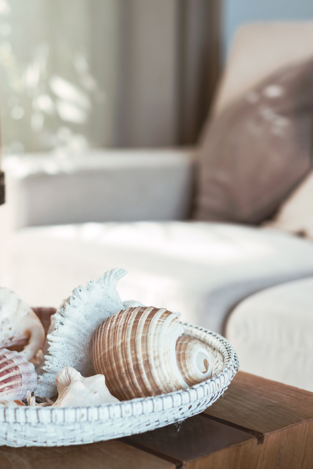 Summer Decorating Ideas: seashells on a table Summer Decorating Ideas