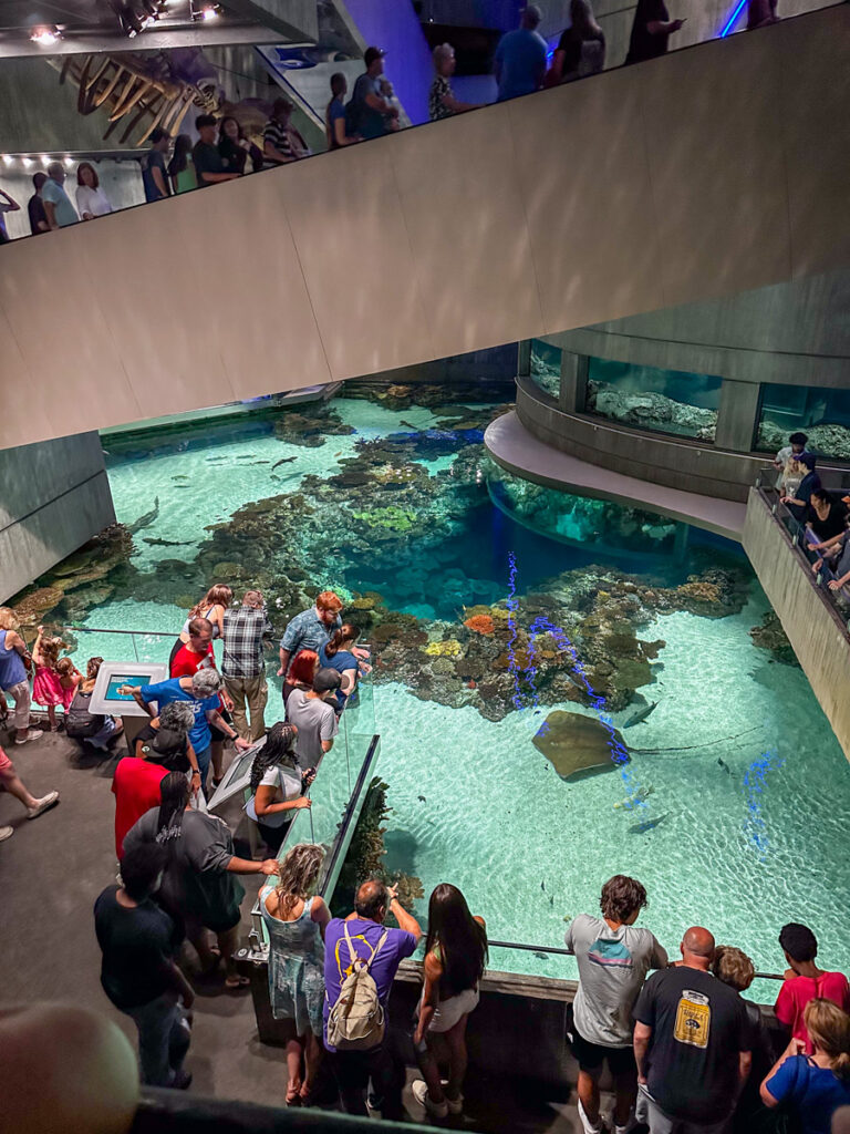 Kath Eats Blogger Kath Younger shares her Family Trip To Baltimore - in photo: people at The National Aquarium Kath Eats Blogger Kath Younger shares her Family Trip To Baltimore - in photo: people at The National Aquarium
