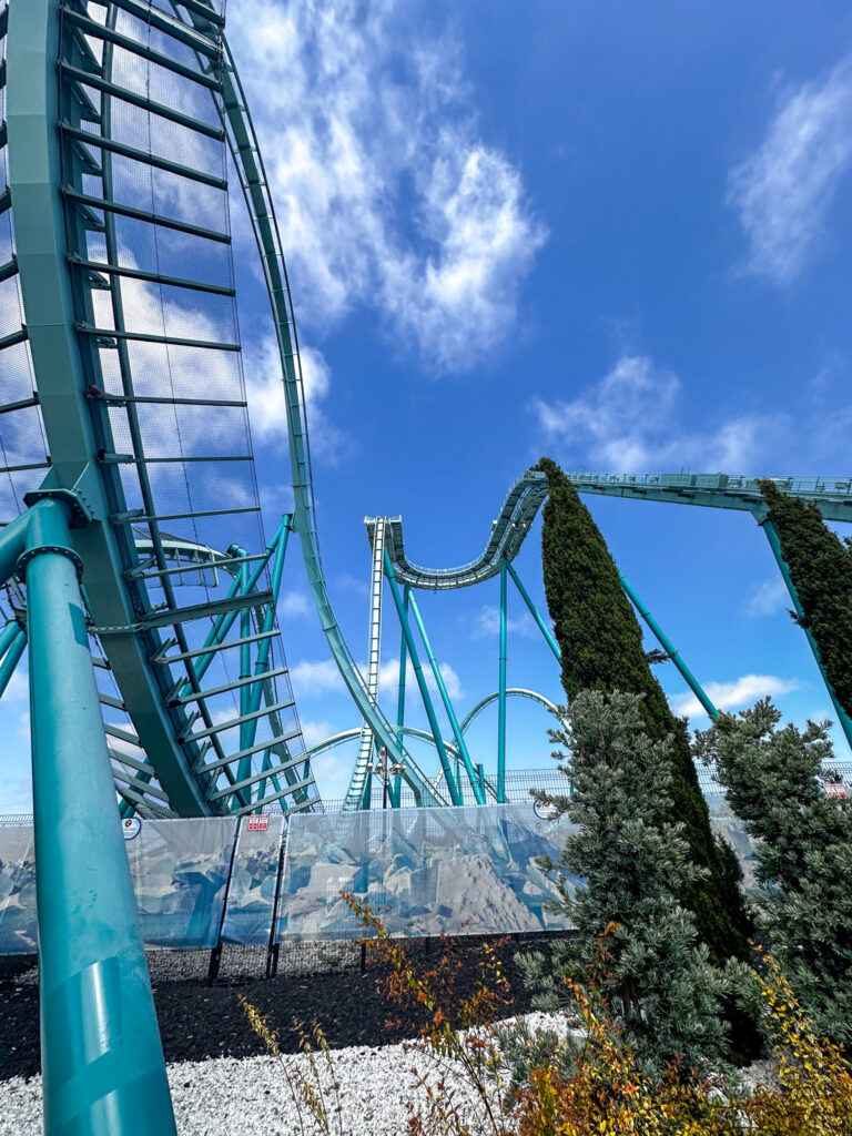 roller coasters roller coasters