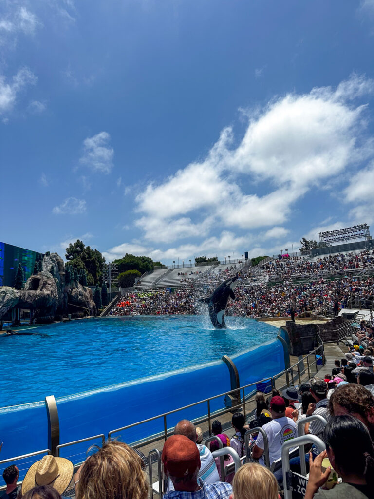 SeaWorld experience SeaWorld experience