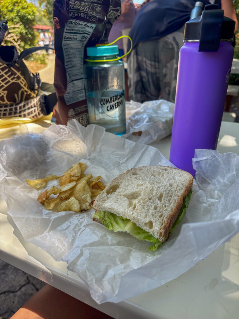 packed sandwiches and chips packed sandwiches and chips | California Summer Part I