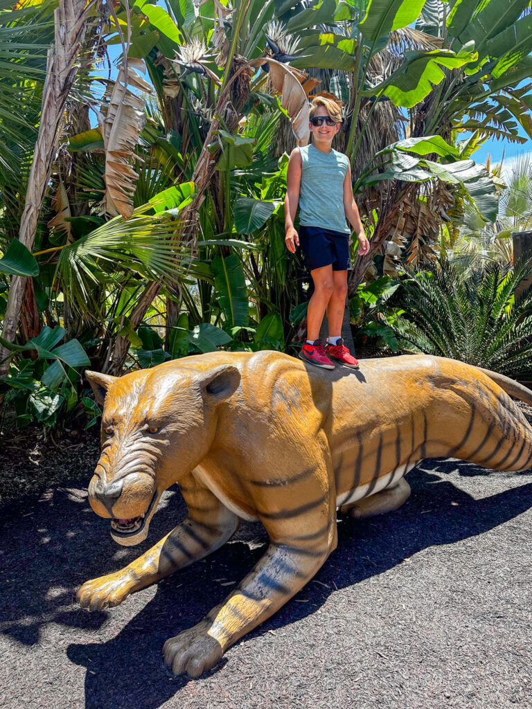 San Diego Zoo California Summer Part I