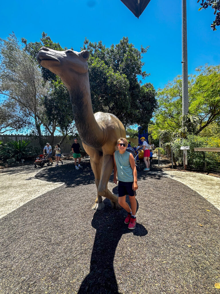 San Diego Zoo California Summer San Diego Zoo California Summer Part I