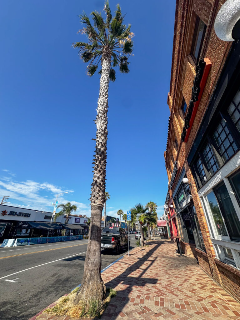 Mission Bay beach boardwalk