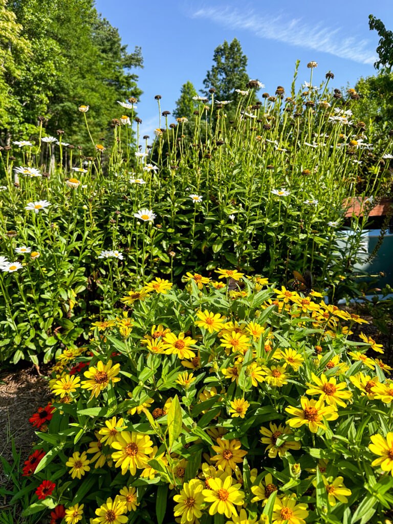 Kath Eats Blogger Kath Younger shares Hive To Table Dinner experience: in photo: flowers