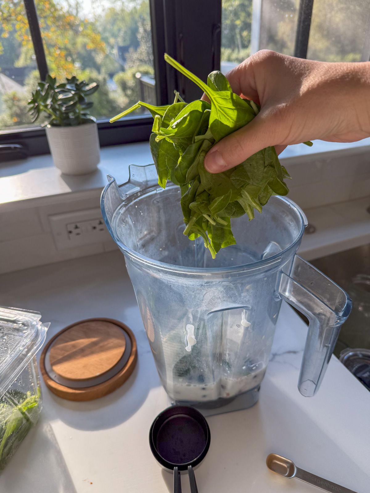 add spinach to blender adding handful of spinach to blender