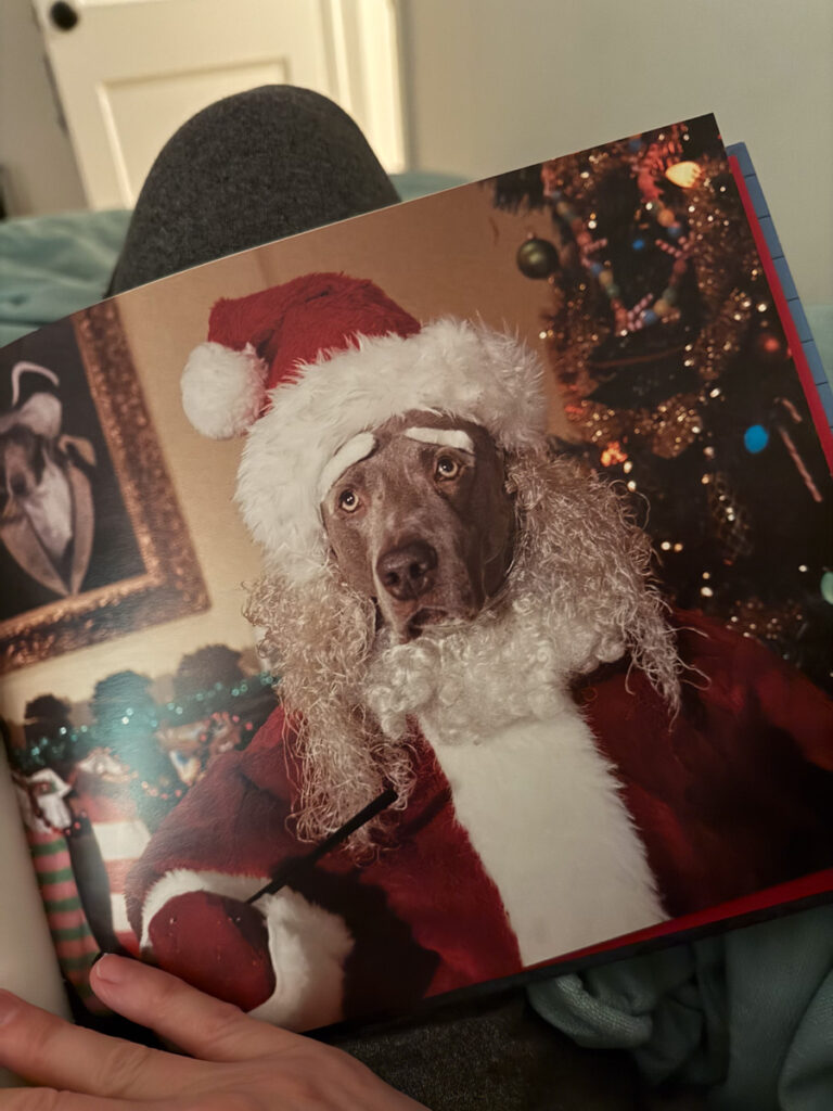 Santa dog Santa dog