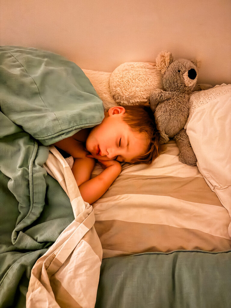 2024 Holiday Break Recap