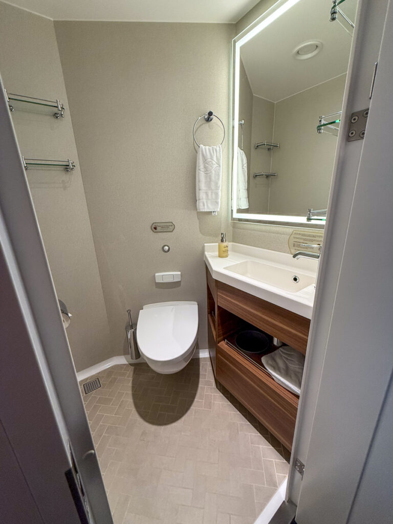 Disney Wish toilet Disney Wish bathroom