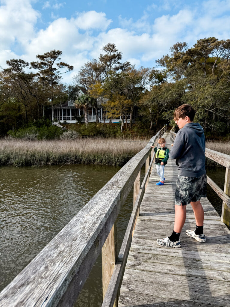 Shrimp Bait activity Shrimp Bait spring