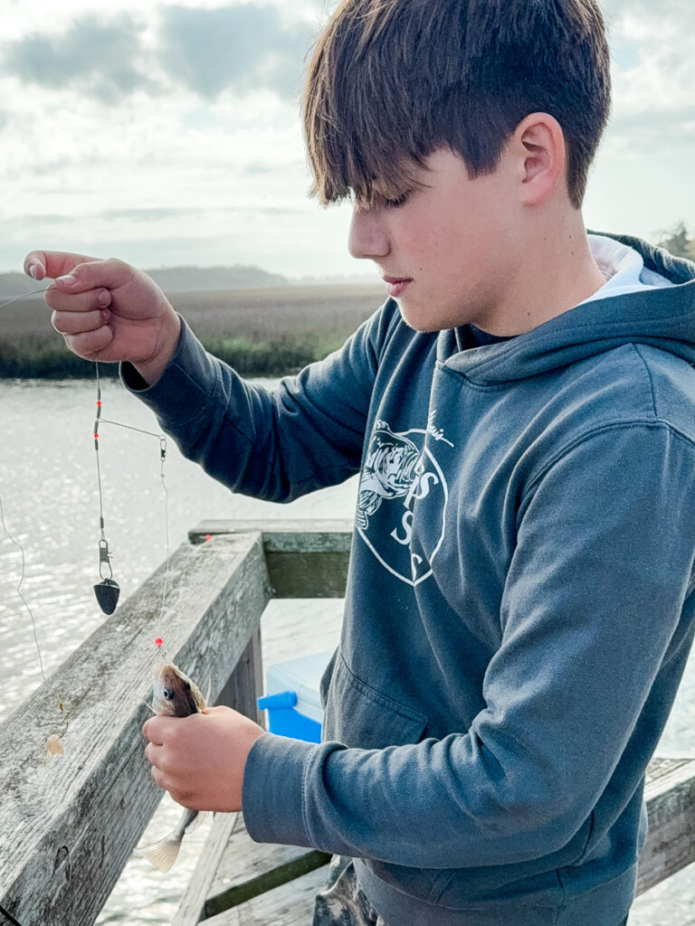 Shrimp Bait mazen Shrimp Bait spring