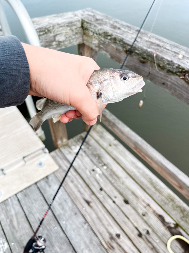 fish caught Fishing spring trip