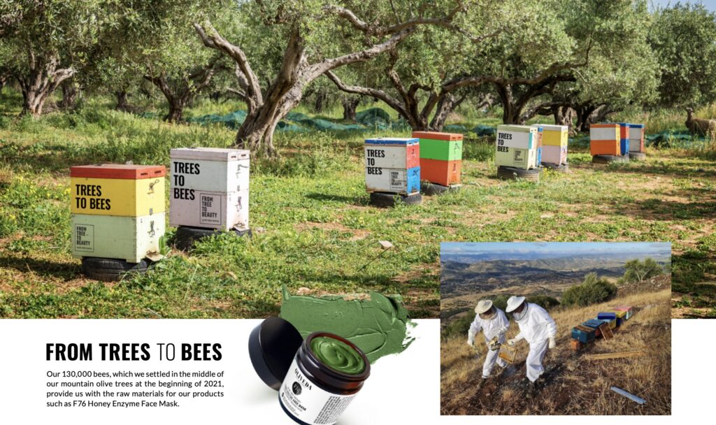 from trees to bees from trees to bees
