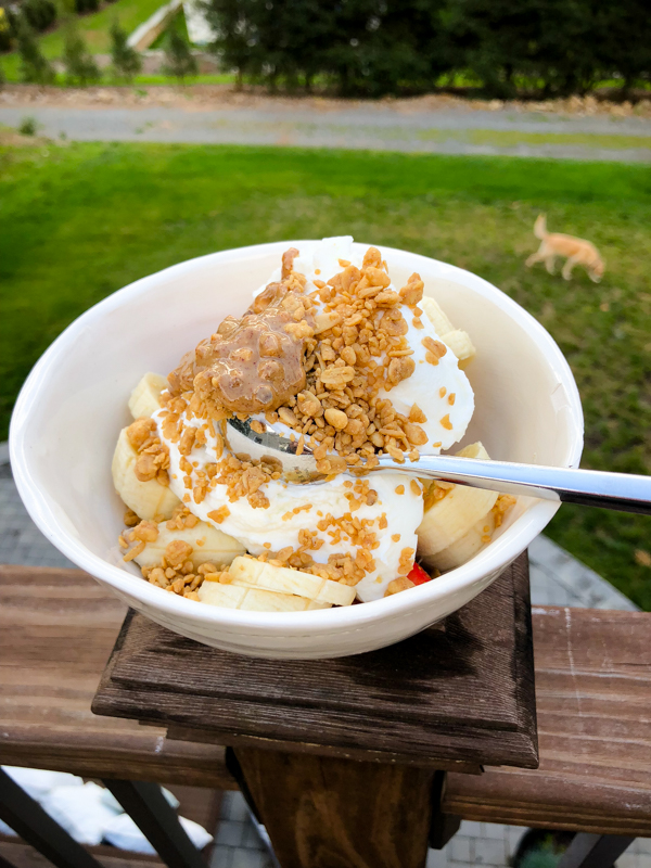 Greek Yogurt Breakfast Bowls Greek Yogurt Breakfast Bowls