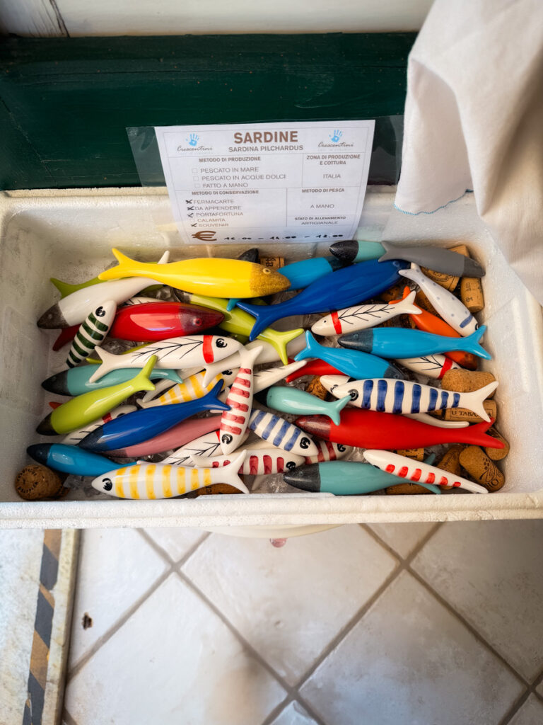 sardine souvenirs sardine souvenirs