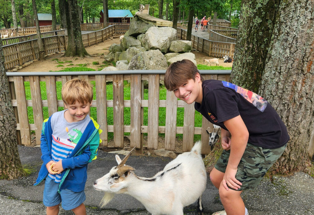 Tweetsie Railroad petting zoo Tweetsie Railroad petting zoo | Grammie + Pea Camp 2025