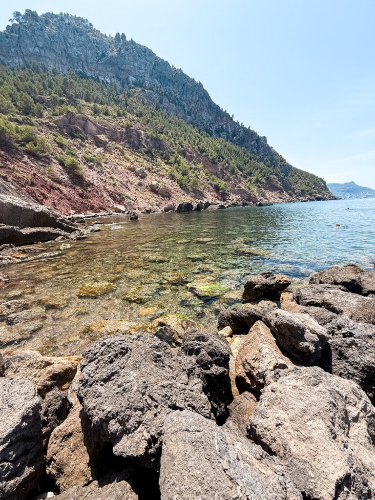 Swimming at the Cove