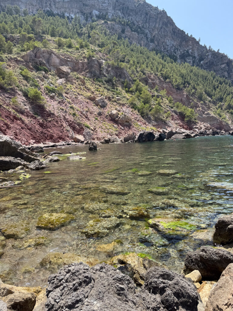 Swimming at the Cove