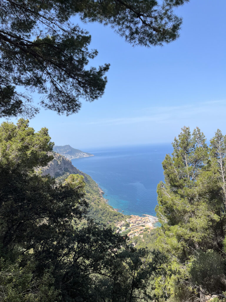 Port de Valldemossa