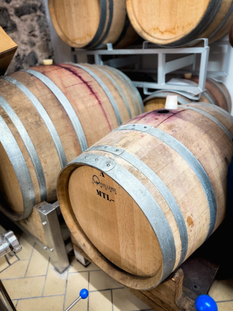 cellar tour cellar tour
