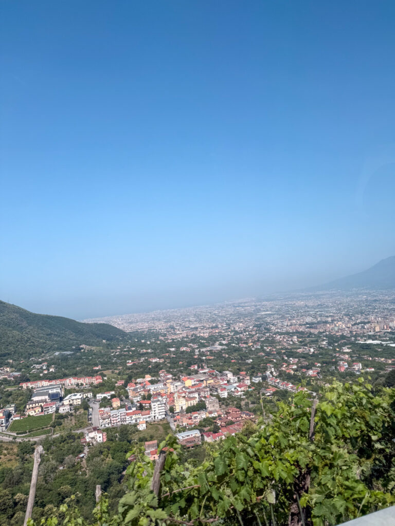 The view of Naples The view of Naples