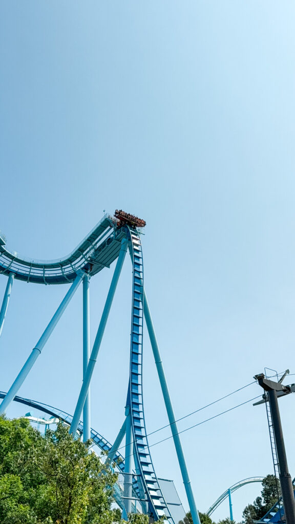 Griffon ride Griffon ride Bon Voyage