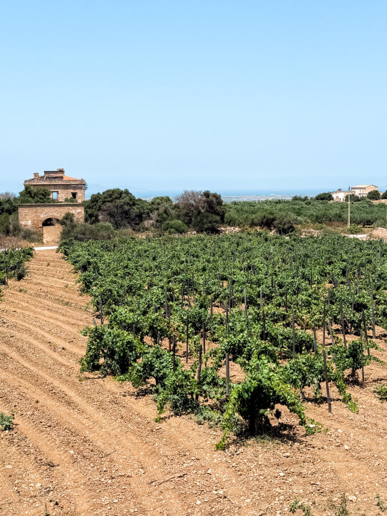 Ansaldi Farm + Winery Trapani Sicily