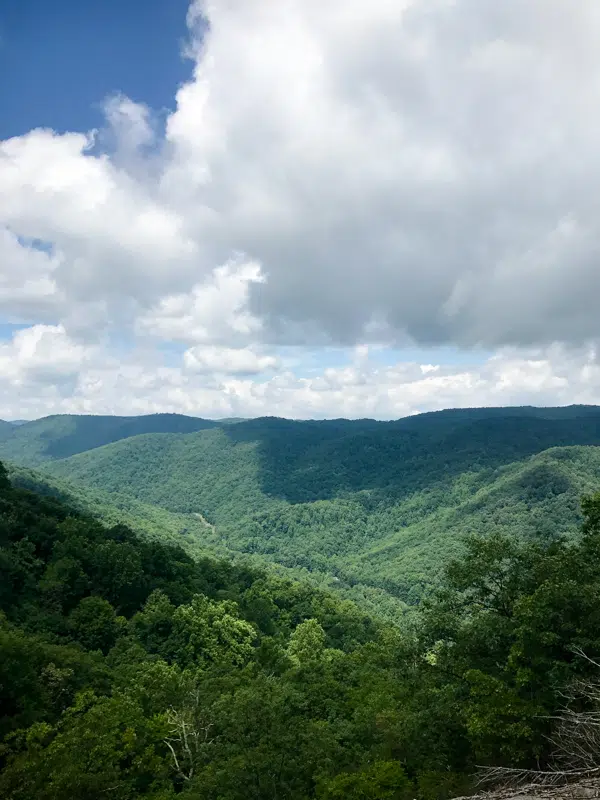 Shenandoah National Park & Skyline Drive Day Trips in Virginia | Shenandoah National Park & Skyline Drive