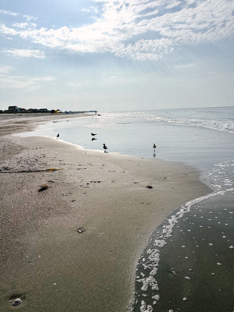 beach walk every morning