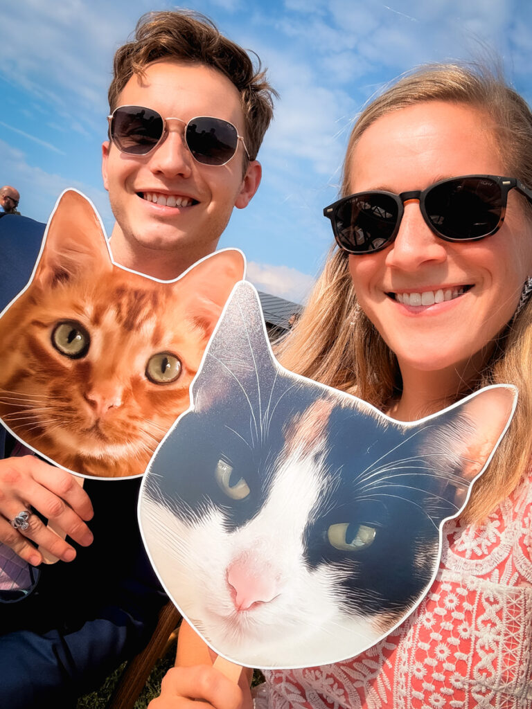 cats
