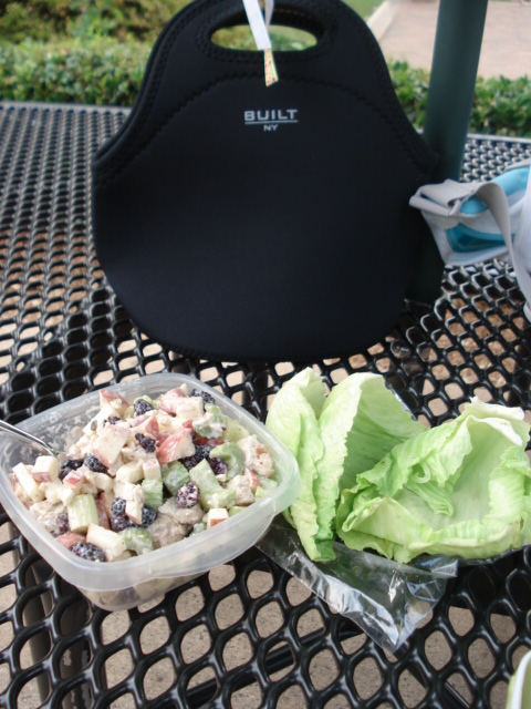 5-Ingredient Chicken Salad Recipes