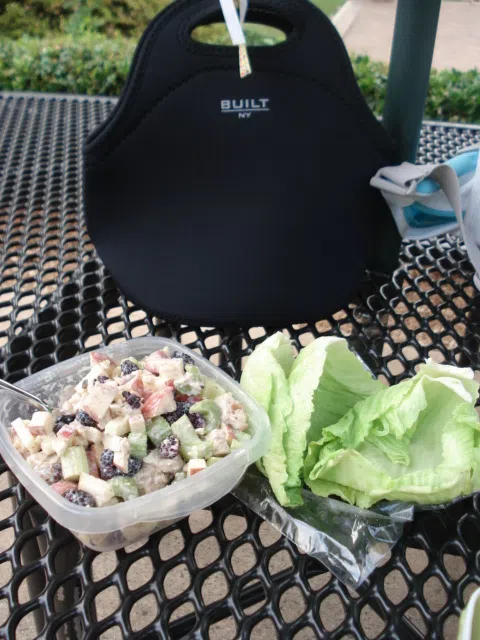 Chicken Salad Cabbage 5-Ingredient Chicken Salad Recipes